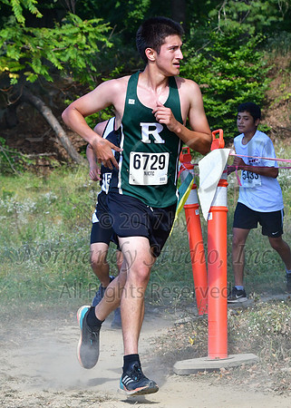 RDG_022_cc-b
