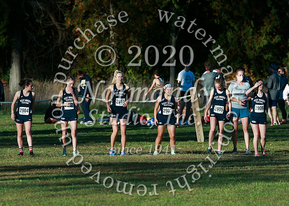 WMC_11_cc-g