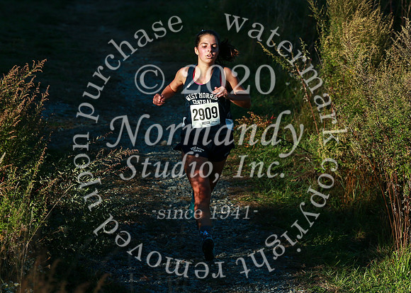 WMC_39_cc-g
