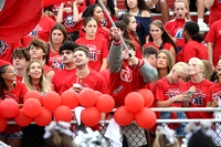 LIB_fb-fans_20