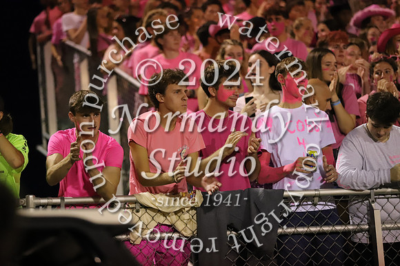 DVH_fans_42