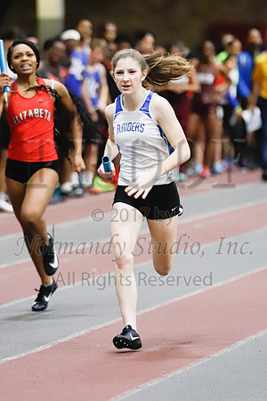 SPF_054_wt-g
