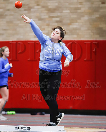 SPF_029_wt-g