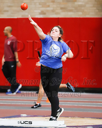 SPF_041_wt-g