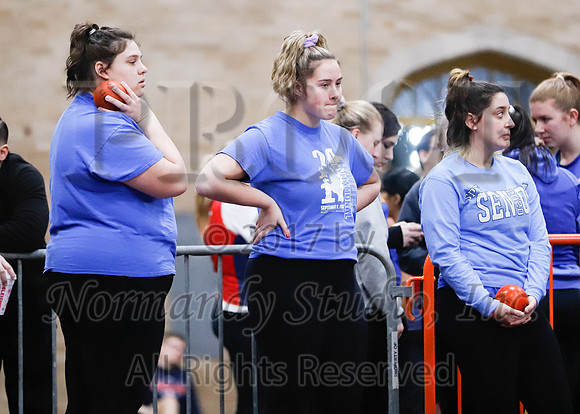 SPF_033_wt-g
