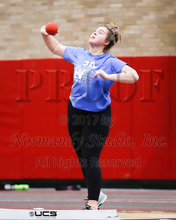 SPF_030_wt-g
