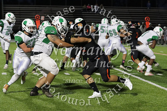 SVL_67_fb