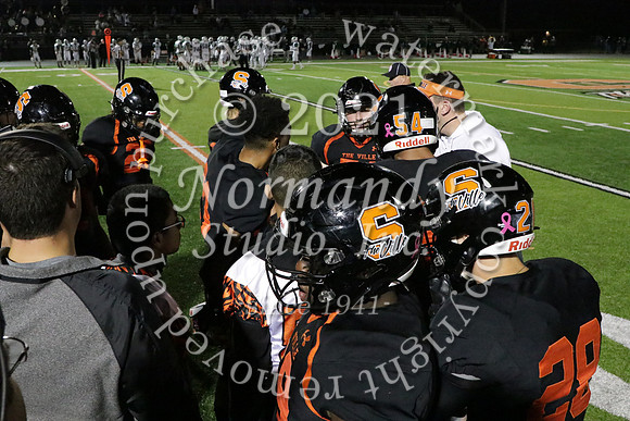 SVL_24_fb