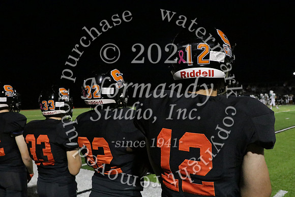 SVL_22_fb