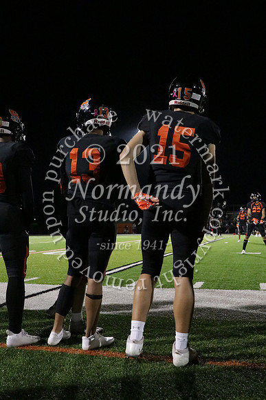 SVL_31_fb