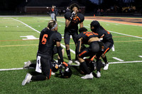 SVL_06_fb
