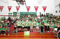 MNP_botc-1