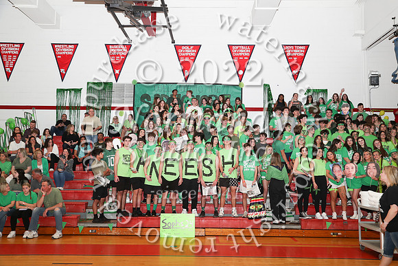 MNP_botc-1