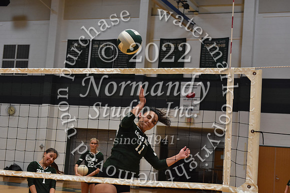 CNH_vb-g_36