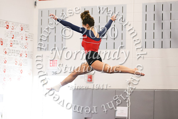 LIB_046_gy