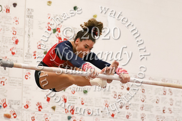 LIB_019_gy