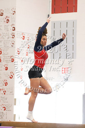 LIB_049_gy
