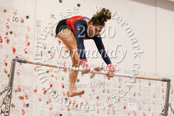 LIB_018_gy