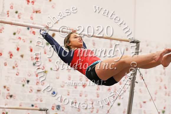 LIB_025_gy