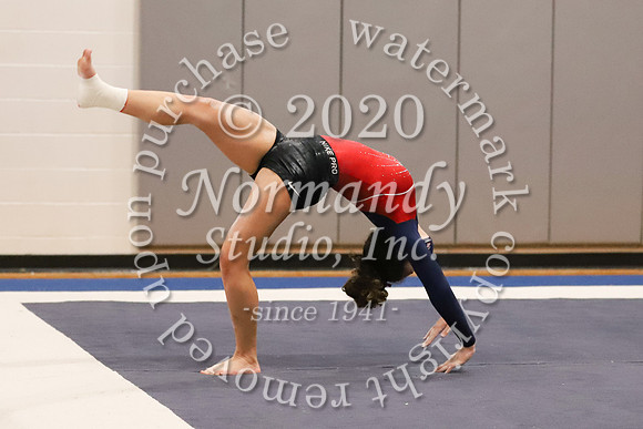 LIB_029_gy