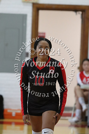 BER_vb-g_40