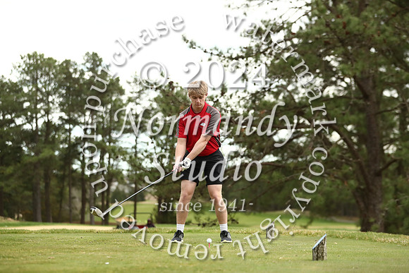 LIB_go_41