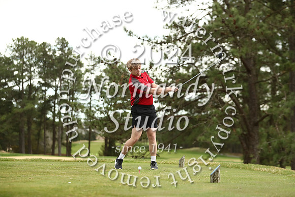 LIB_go_55