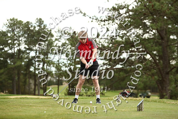 LIB_go_59