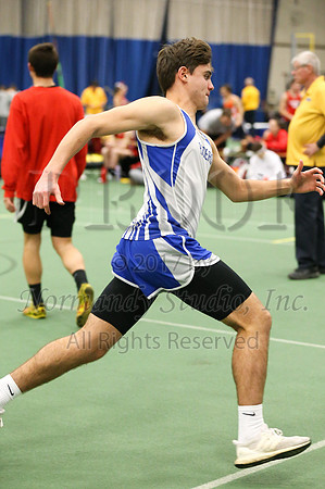 SPF_085_wt-b