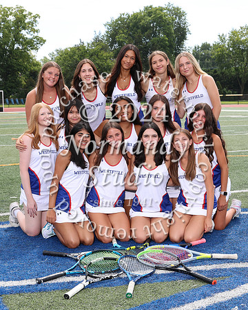 WHS_tn-g-v-t_315