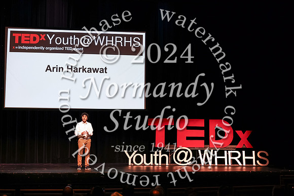 WTG_tedx_08
