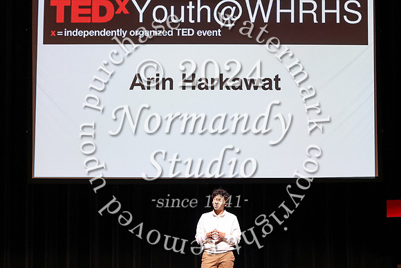 WTG_tedx_11