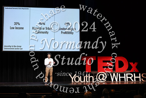 WTG_tedx_17