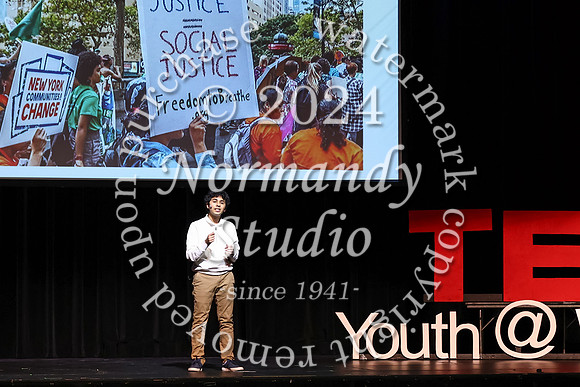 WTG_tedx_24