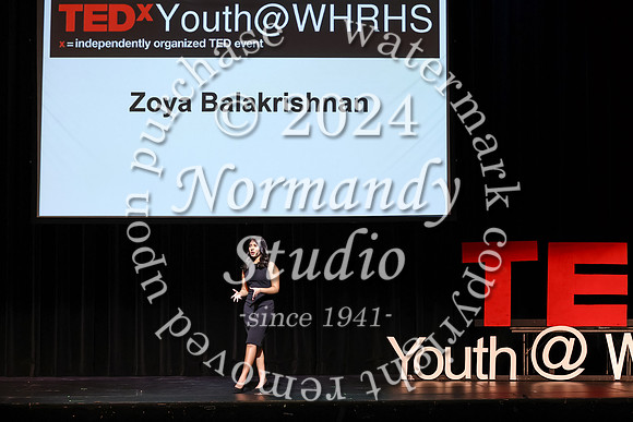 WTG_tedx_28