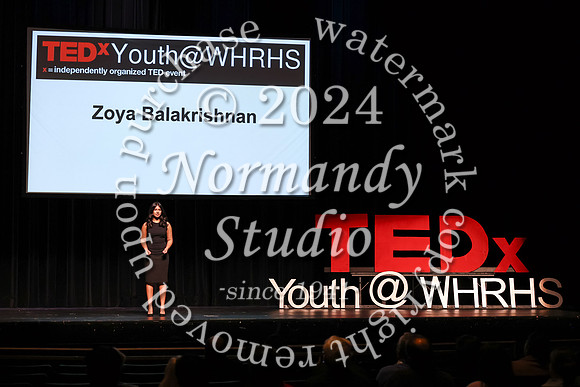 WTG_tedx_27
