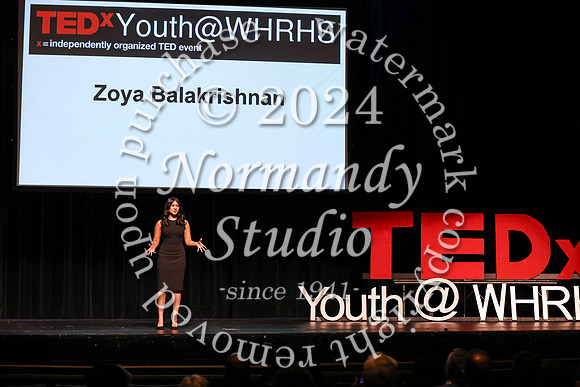 WTG_tedx_26