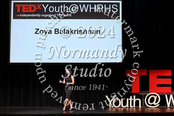 WTG_tedx_29