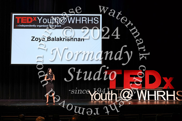 WTG_tedx_30