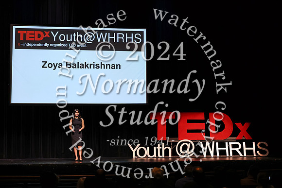 WTG_tedx_39