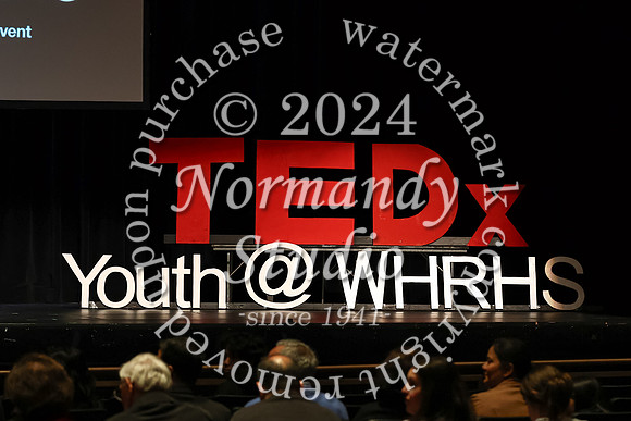 WTG_tedx_01