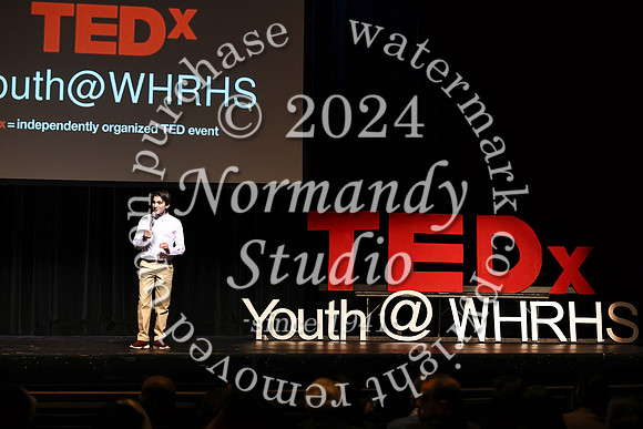 WTG_tedx_04