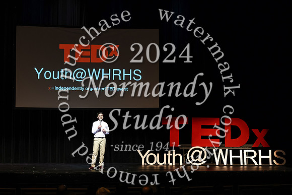 WTG_tedx_06