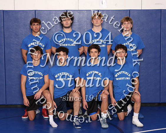 WHS_wr-srs_18