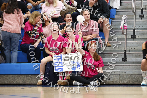 WHS_vb-pink out_40