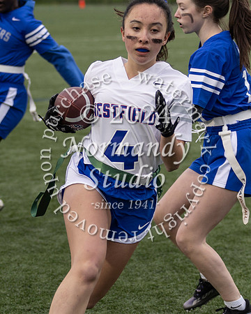 WHS_ff_44