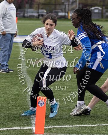 WHS_ff_50