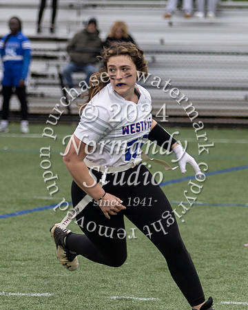 WHS_ff_64