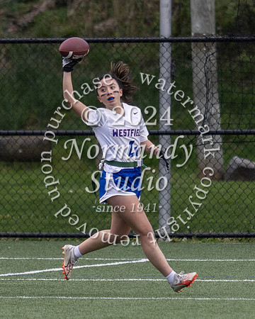 WHS_ff_68