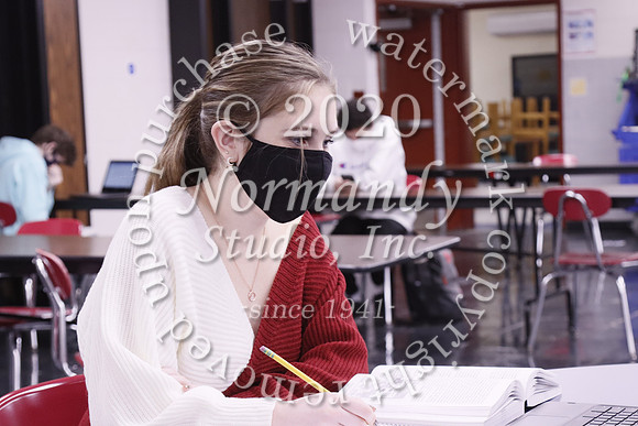 WMM_008_slc